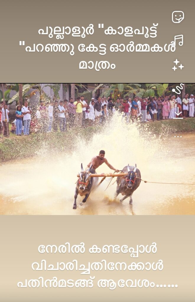 പുല്ലാളൂർ “കാളപൂട്ട് “പറഞ്ഞു കേട്ട ഓർമ്മകൾ മാത്രം -നേരിൽ കണ്ടപ്പോൾ വിചാരിച്ചതിനേക്കാൾ പതിൻമടങ്ങ് ആവേശം……